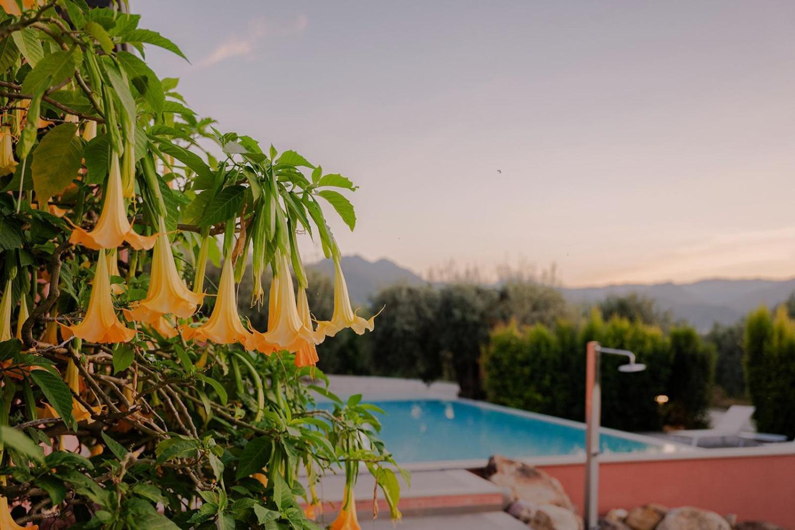 Bioagriturismo Antica Sena Alojamento de Turismo Rural Milici